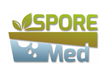 spore_med
